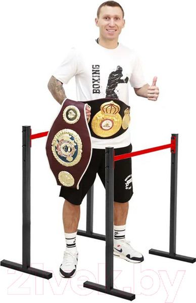 Изображение товара Брусья Absolute Champion Хайлетсы №2 / АЧ 9666 (красный/черный)