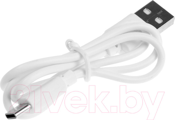 Изображение товара Опрыскиватель аккумуляторный Tundra 9923348