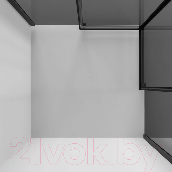 Изображение товара Душевой уголок Niagara NG-2828-34BLACK 80x80x195 (черный матовый/тонированное стекло)