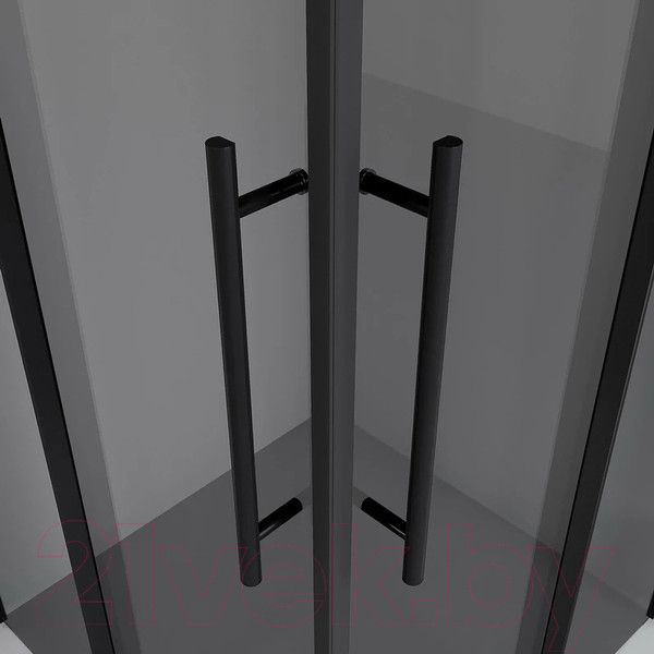 Изображение товара Душевой уголок Niagara NG-2830-34BLACK 100x100x195 (черный матовый/тонированное стекло)