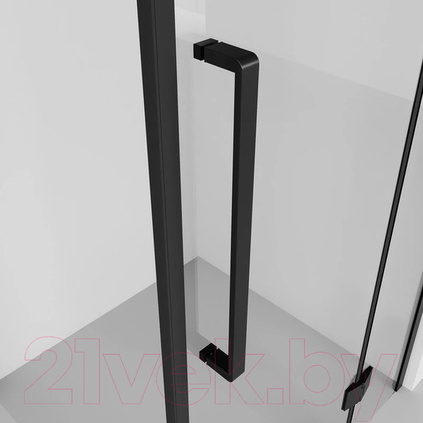 Изображение товара Душевой уголок Niagara NG-6831-34BLACK 90x90x195 (черный матовый/прозрачное стекло)