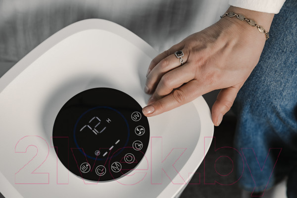 Изображение товара Климатический комплекс Garlyn AirClean V60