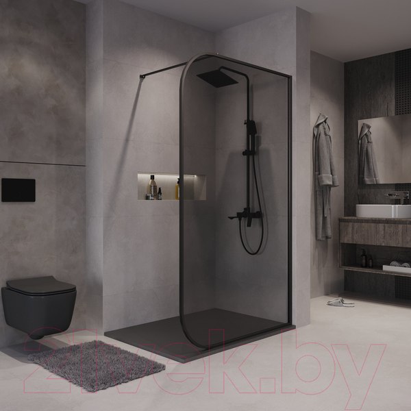 Изображение товара Душевая стенка Niagara NG-689-10TBLACK 100x200 (черный матовый/тонированное стекло)