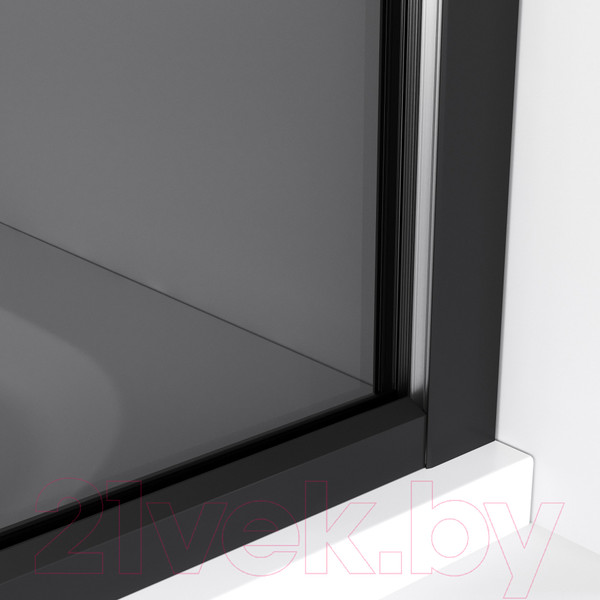 Изображение товара Душевая стенка Niagara NG-689-10TBLACK 100x200 (черный матовый/тонированное стекло)