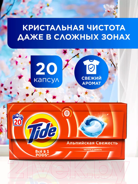 Изображение товара Капсулы для стирки Tide Альпийская свежесть (20x16.8г)