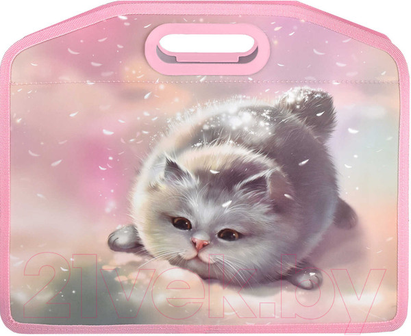 Изображение товара Папка для тетрадей Феникс+ Кот / 66308