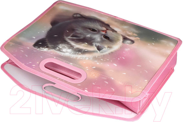 Изображение товара Папка для тетрадей Феникс+ Кот / 66308