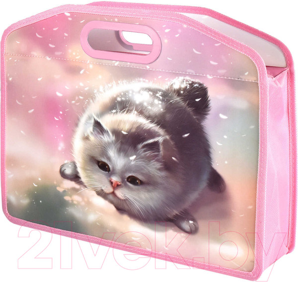 Изображение товара Папка для тетрадей Феникс+ Кот / 66308