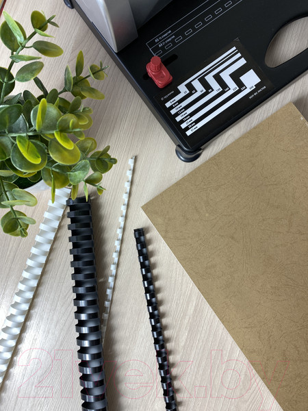 Изображение товара Пружины для переплета Гелеос BCA4-32WB 32мм (белый/черный)