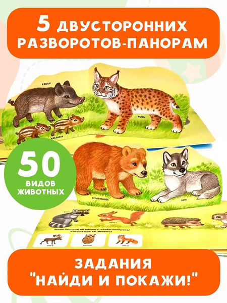 Изображение товара Книжка-панорамка АСТ В зоопарке, твердая обложка (Павлова Ксения)