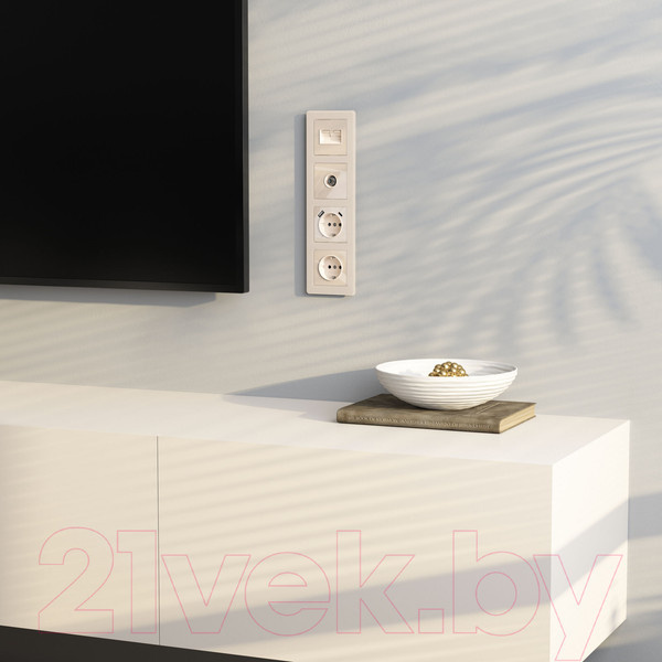 Изображение товара Розетка Werkel W1183043 (айвори акрил)