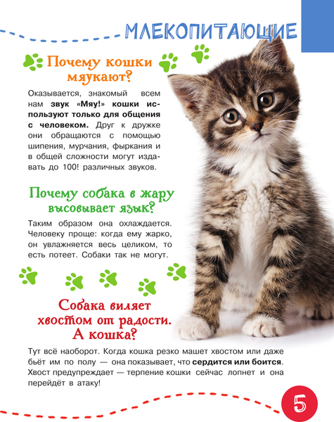 Изображение товара Энциклопедия АСТ 1000 вопросов и ответов, твердая обложка (Кузечкин Андрей)