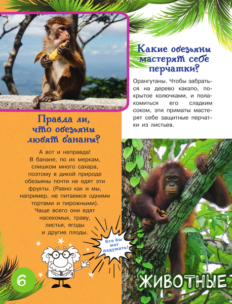 Изображение товара Энциклопедия АСТ 1000 вопросов и ответов, твердая обложка (Кузечкин Андрей)