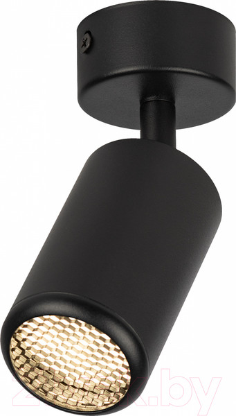 Изображение товара Спот ЭРА OL55 BK MR16 GU10 / Б0061886