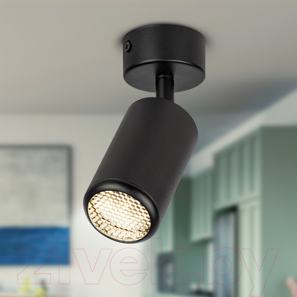 Изображение товара Спот ЭРА OL55 BK MR16 GU10 / Б0061886