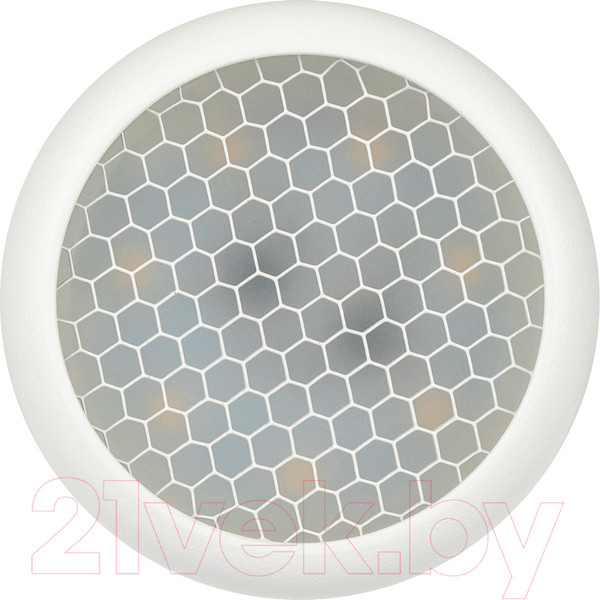 Изображение товара Спот ЭРА OL55 WH MR16 GU10 / Б0061883