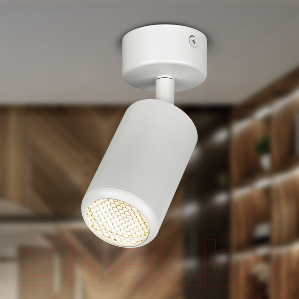 Изображение товара Спот ЭРА OL55 WH MR16 GU10 / Б0061883