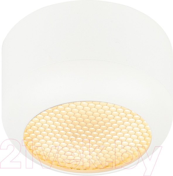 Изображение товара Точечный светильник ЭРА OL56 WH / Б0061877