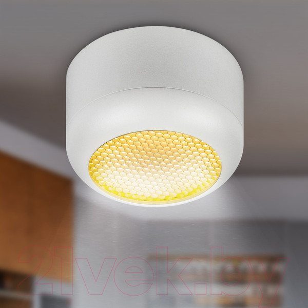 Изображение товара Точечный светильник ЭРА OL56 WH / Б0061877