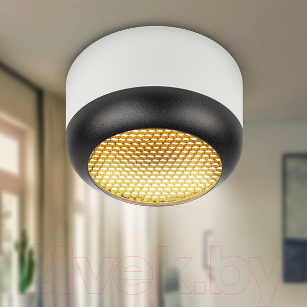 Изображение товара Точечный светильник ЭРА OL56 WH/BK / Б0061881