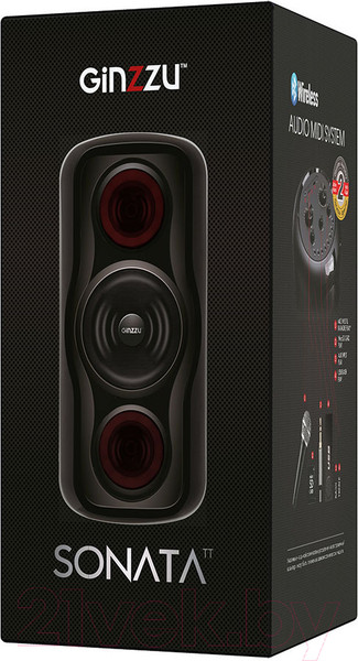 Изображение товара Портативная колонка Ginzzu GM-233