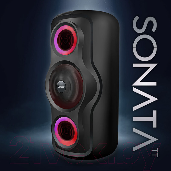 Изображение товара Портативная колонка Ginzzu GM-233