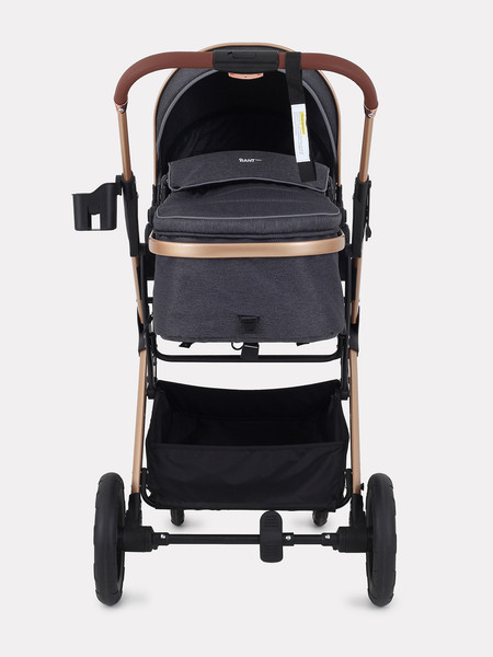 Изображение товара Детская универсальная коляска Rant Basic Pulsar Gold 2 в 1 / RA160  (Grey)
