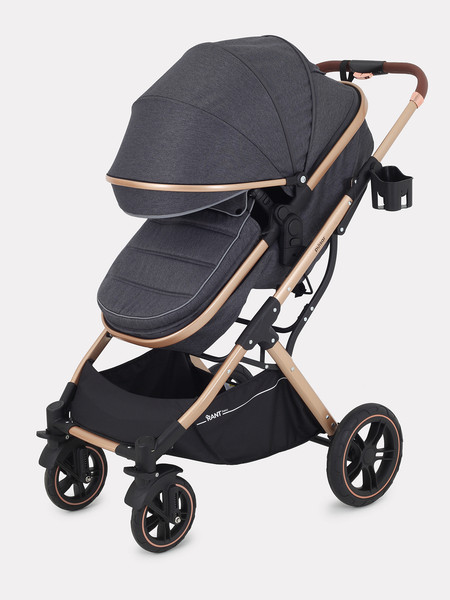 Изображение товара Детская универсальная коляска Rant Basic Pulsar Gold 2 в 1 / RA160  (Grey)