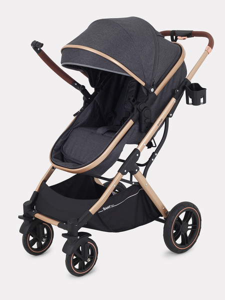 Изображение товара Детская универсальная коляска Rant Basic Pulsar Gold 2 в 1 / RA160  (Grey)