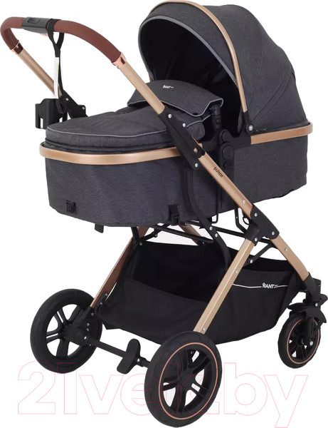 Изображение товара Детская универсальная коляска Rant Basic Pulsar Gold 2 в 1 / RA160  (Grey)
