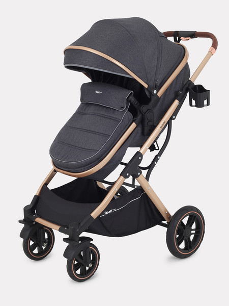 Изображение товара Детская универсальная коляска Rant Basic Pulsar Gold 2 в 1 / RA160  (Grey)