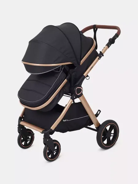 Изображение товара Детская универсальная коляска Rant Basic Roller Gold 2 в 1 / RA161  (Black)