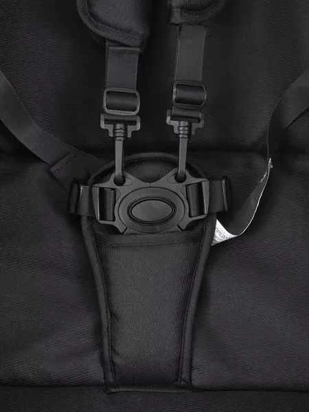 Изображение товара Детская универсальная коляска Rant Basic Roller Gold 2 в 1 / RA161  (Black)