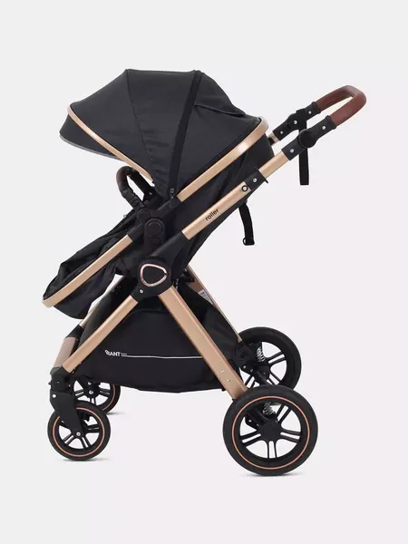 Изображение товара Детская универсальная коляска Rant Basic Roller Gold 2 в 1 / RA161  (Black)