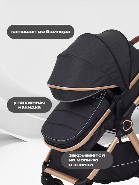 Изображение товара Детская универсальная коляска Rant Basic Roller Gold 2 в 1 / RA161  (Black)