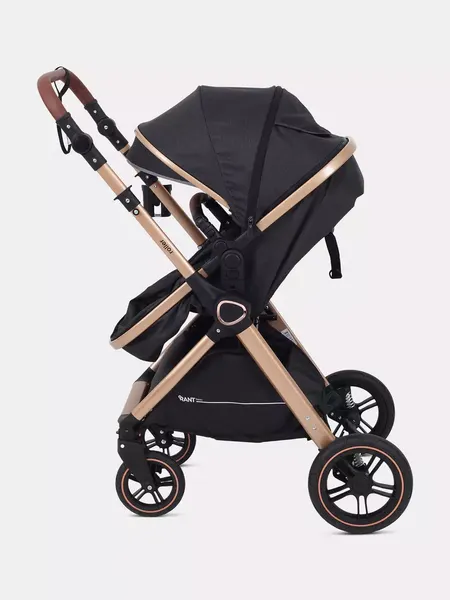 Изображение товара Детская универсальная коляска Rant Basic Roller Gold 2 в 1 / RA161  (Black)