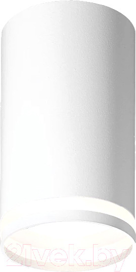 Изображение товара Точечный светильник Wolta WSL-GU10/02W