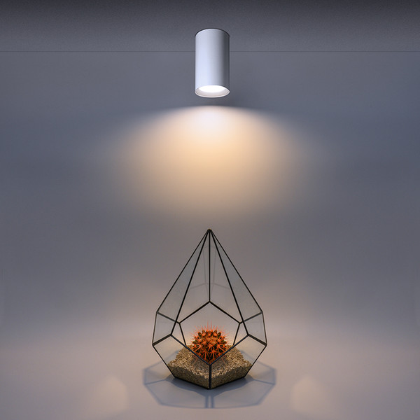 Изображение товара Точечный светильник Wolta WSL-GU10/01W