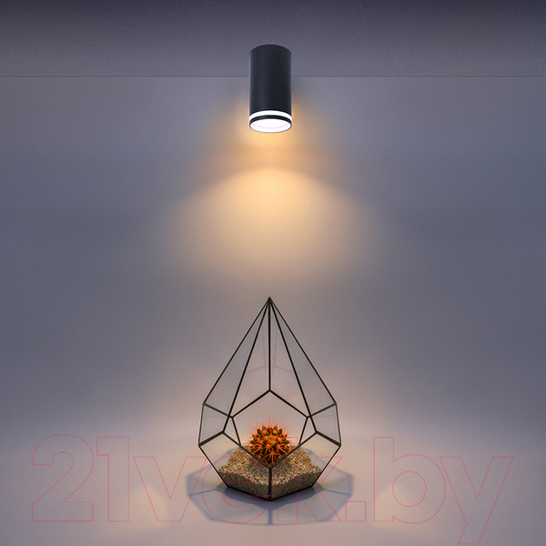 Изображение товара Точечный светильник Wolta WSL-GU10/02BL