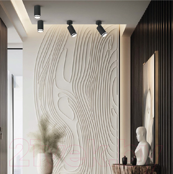 Изображение товара Точечный светильник Wolta WSL-GU10/03BL