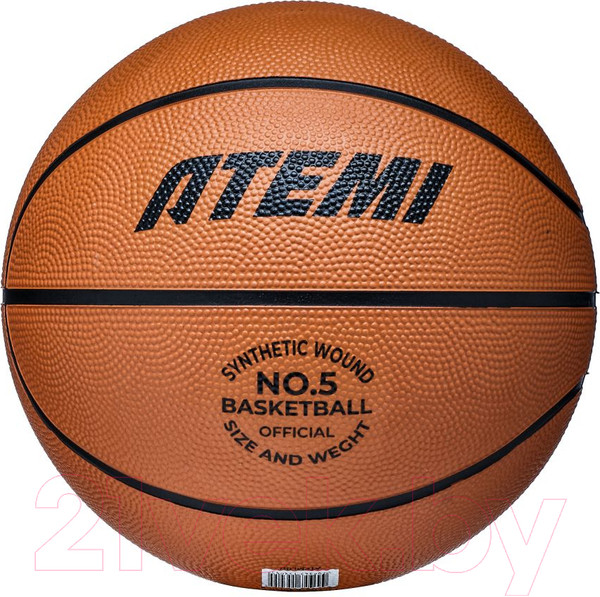 Изображение товара Баскетбольный мяч Atemi BB100N (размер 5)