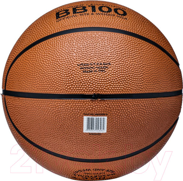 Изображение товара Баскетбольный мяч Atemi BB100N (размер 6)