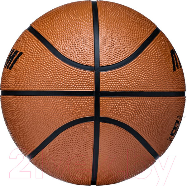 Изображение товара Баскетбольный мяч Atemi BB100N (размер 6)