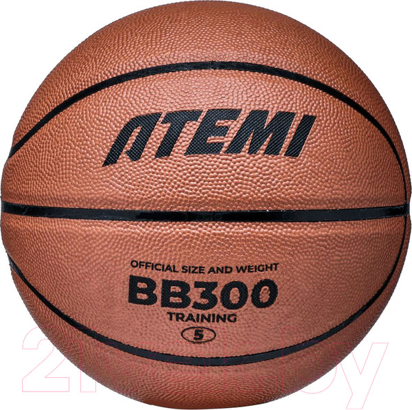 Изображение товара Баскетбольный мяч Atemi BB300N (размер 5)