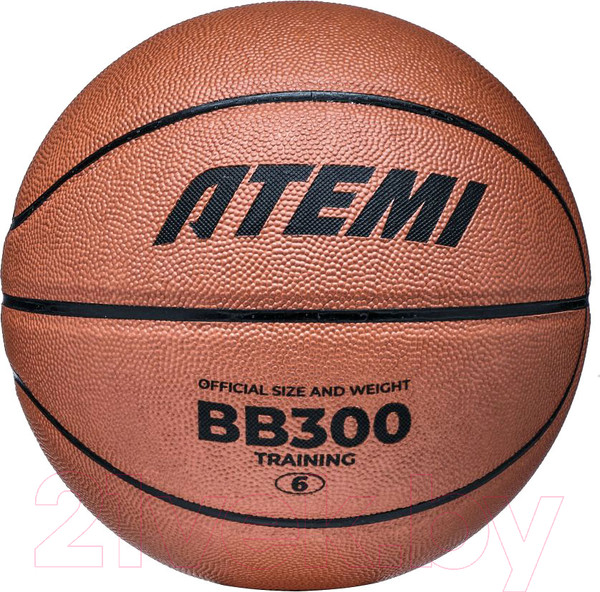 Изображение товара Баскетбольный мяч Atemi BB300N (размер 6)