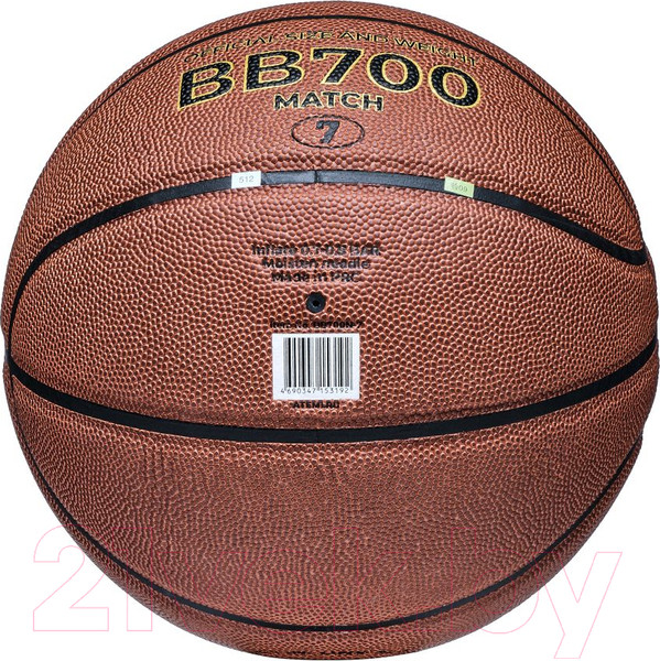 Изображение товара Баскетбольный мяч Atemi BB700N (размер 7)