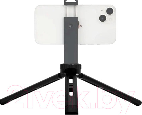 Изображение товара Штатив RayLab MT-TM