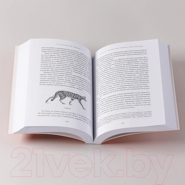 Изображение товара Книга Альпина От саванны до дивана. Эволюционная история кошек / 9785001399476 (Лосос Дж.)