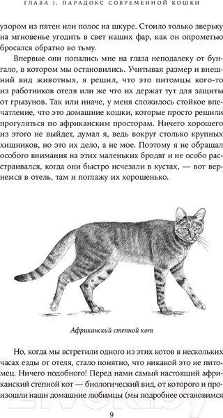 Изображение товара Книга Альпина От саванны до дивана. Эволюционная история кошек / 9785001399476 (Лосос Дж.)