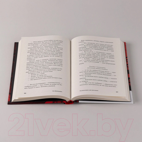 Изображение товара Книга Альпина Раз мальчишка, два мальчишка / 9785002232406 (Демишкевич А.)